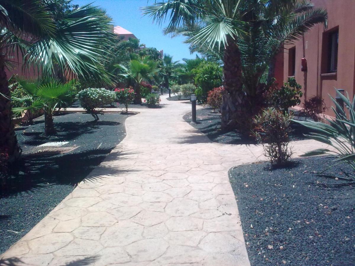 Appartamento Tamarindo I Piscinas De Agua Salada Corralejo Esterno foto