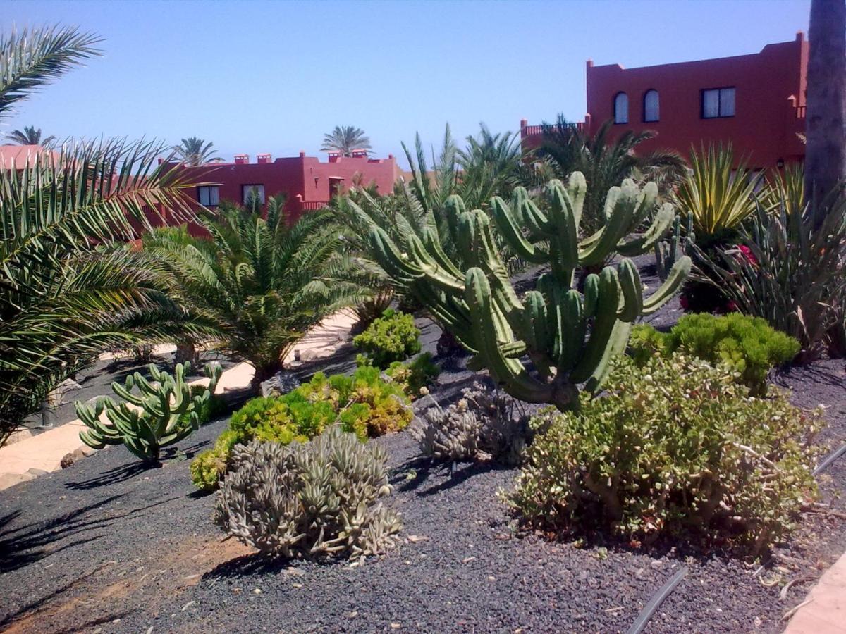 Appartamento Tamarindo I Piscinas De Agua Salada Corralejo Esterno foto