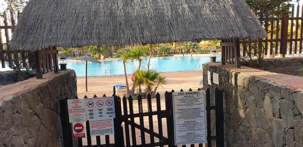 Appartamento Tamarindo I Piscinas De Agua Salada Corralejo Esterno foto