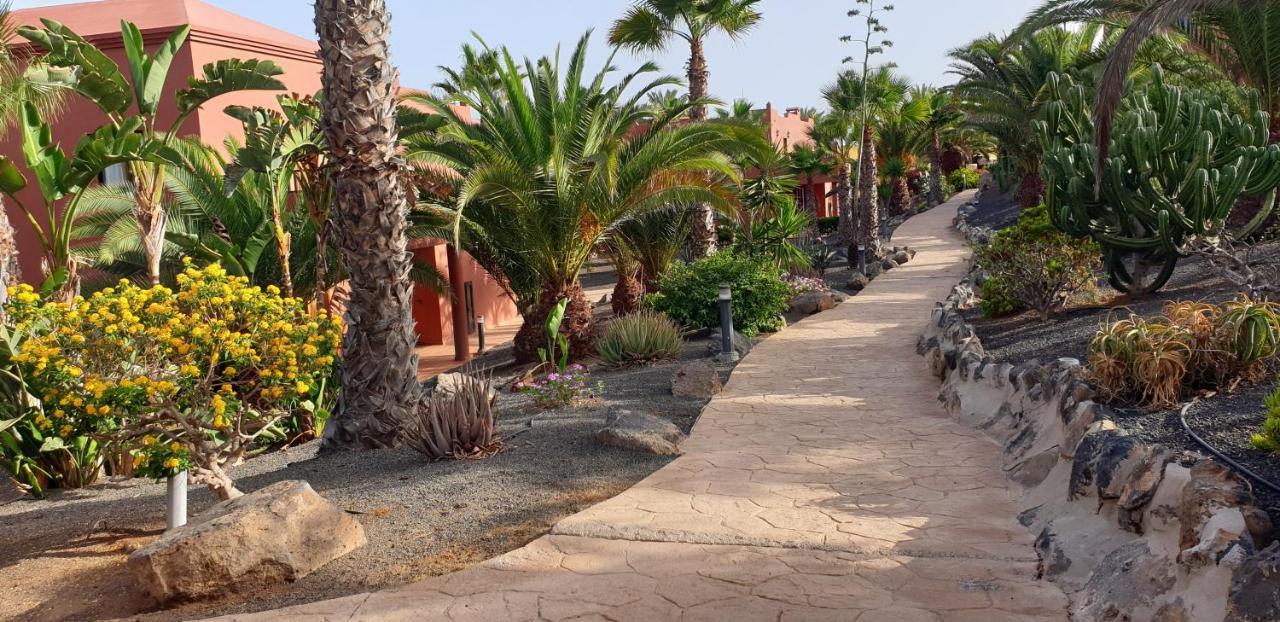 Appartamento Tamarindo I Piscinas De Agua Salada Corralejo Esterno foto