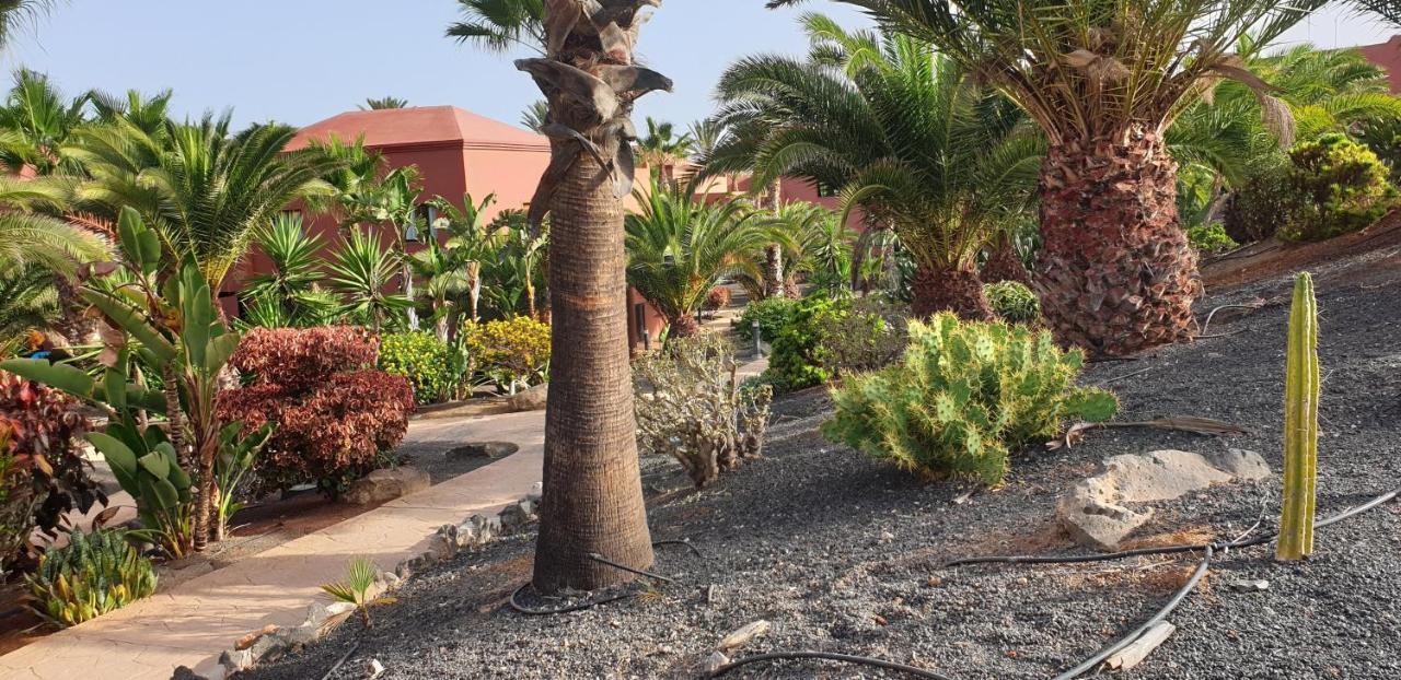 Appartamento Tamarindo I Piscinas De Agua Salada Corralejo Esterno foto